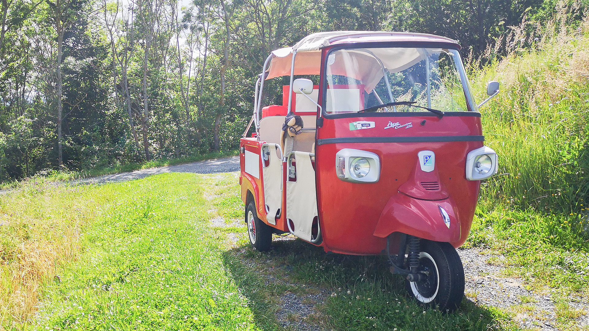 Ape Tour Dreiländereck Oberwart (4 Std.)
