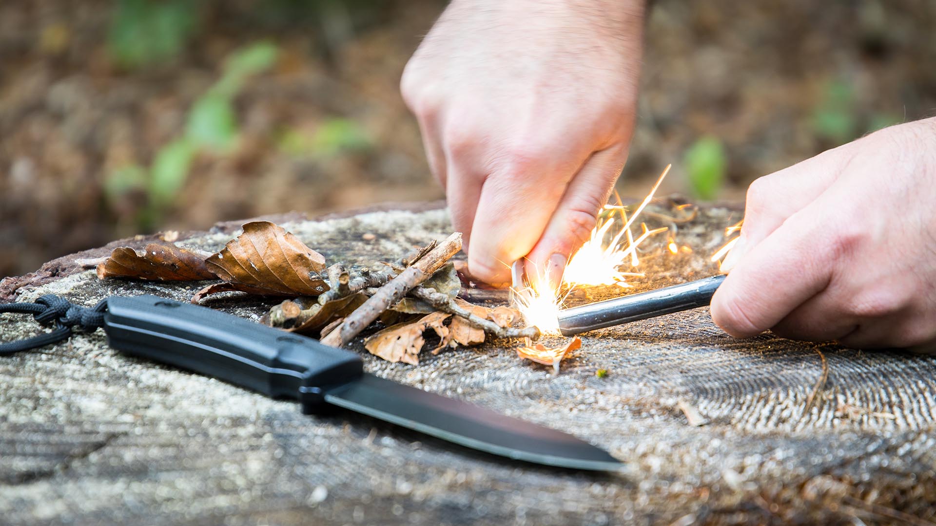 Wildnis JGA (2 Tage) Raum Bitburg-Prüm