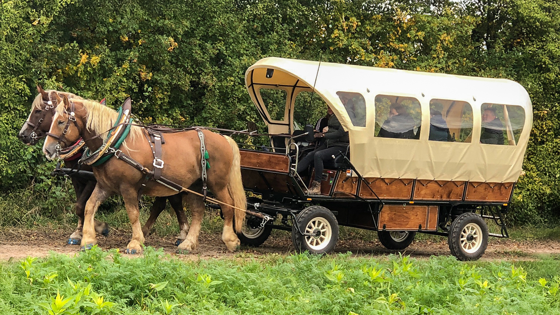 Planwagenfahrt Langenfeld für 2