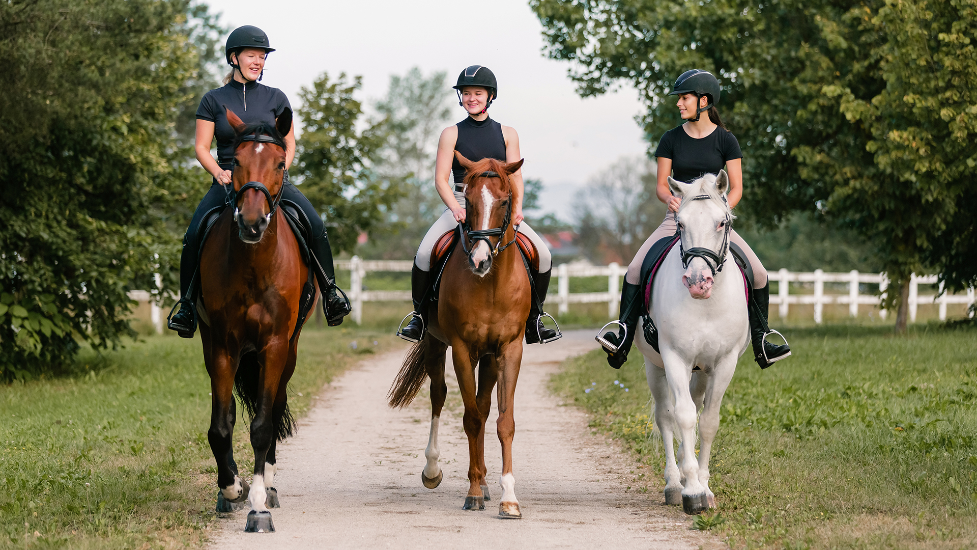 Reitkurse Reiturlaub Pferdemessen und Reitturniere