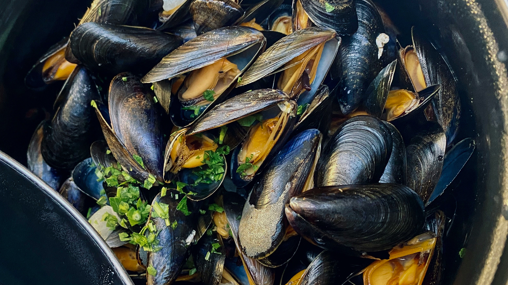 Muscheln essen München – Jetzt erleben! Muscheln essen München – Jetzt erleben!