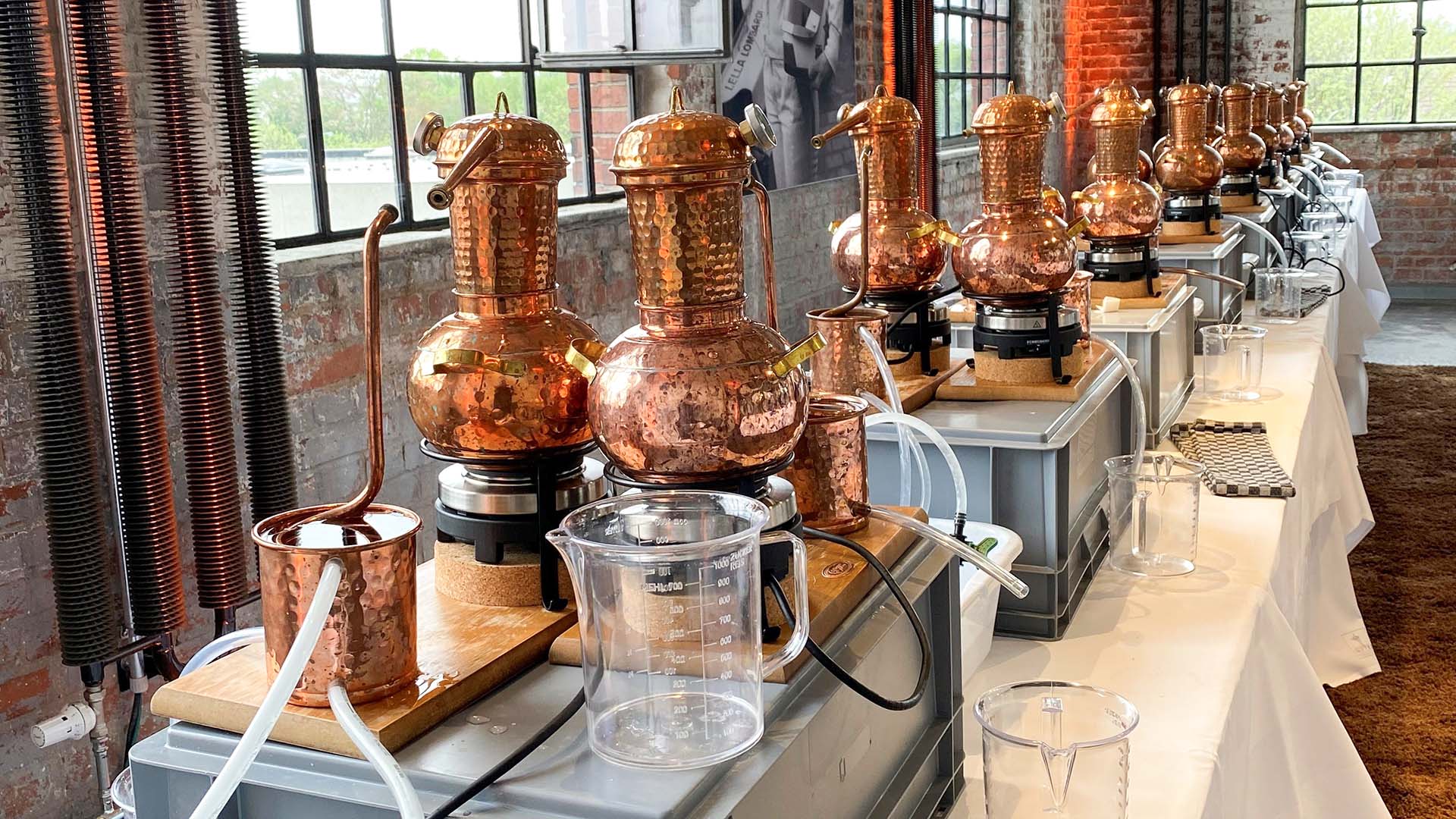 Gin Brennkurs Düsseldorf