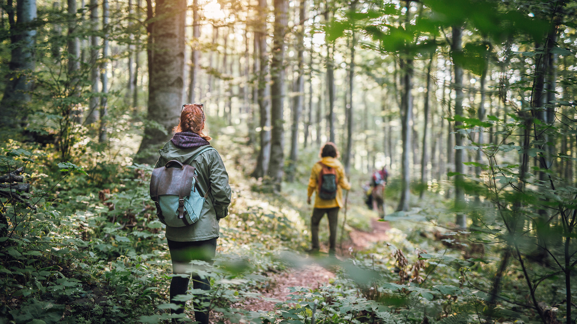 Survival-Intensivkurs Dettmannsdorf (3 Tage)