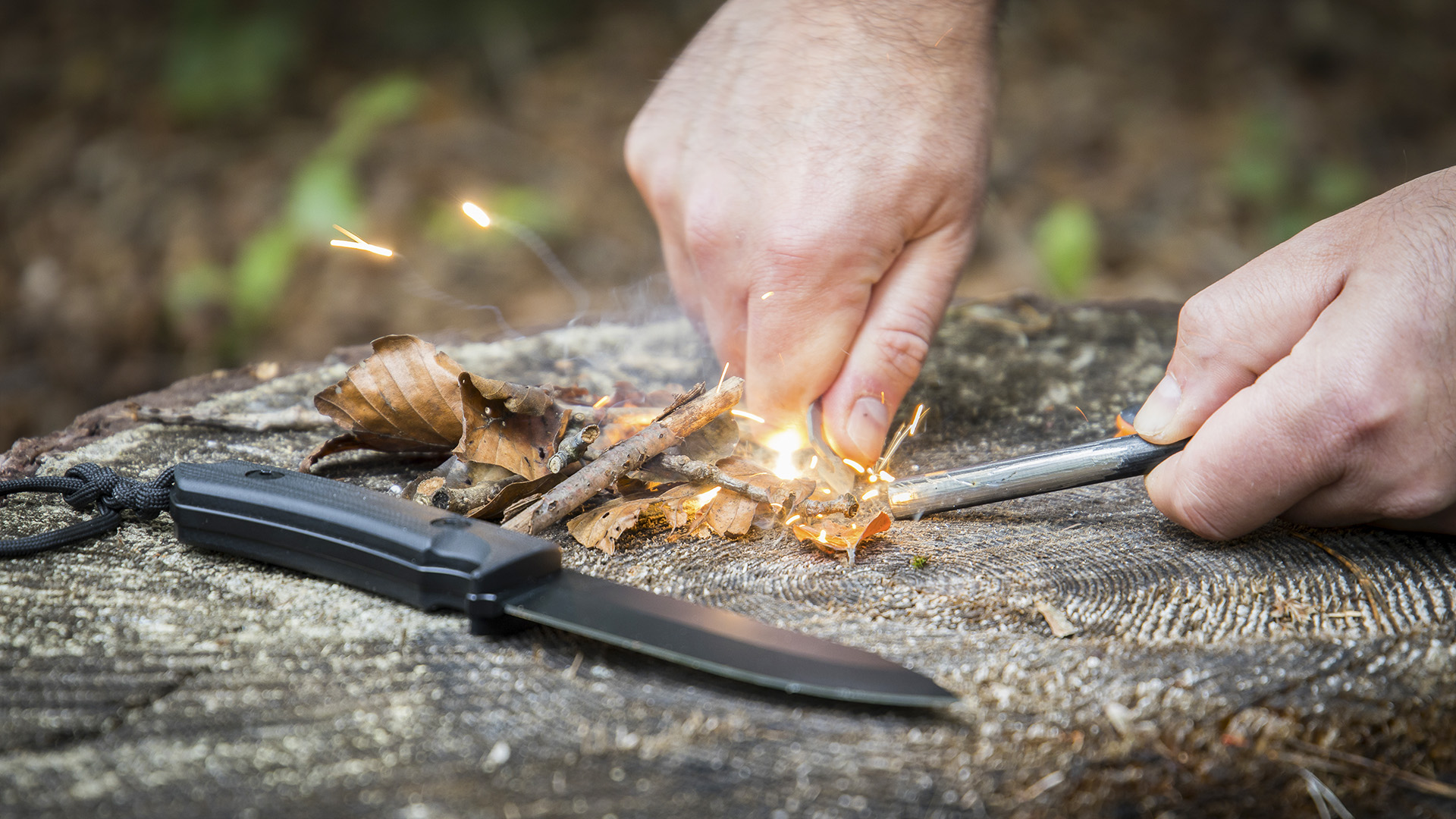 Survival Kurs Dettmannsdorf (Feuer und Schutz) Survival Kurs Dettmannsdorf (Feuer und Schutz)