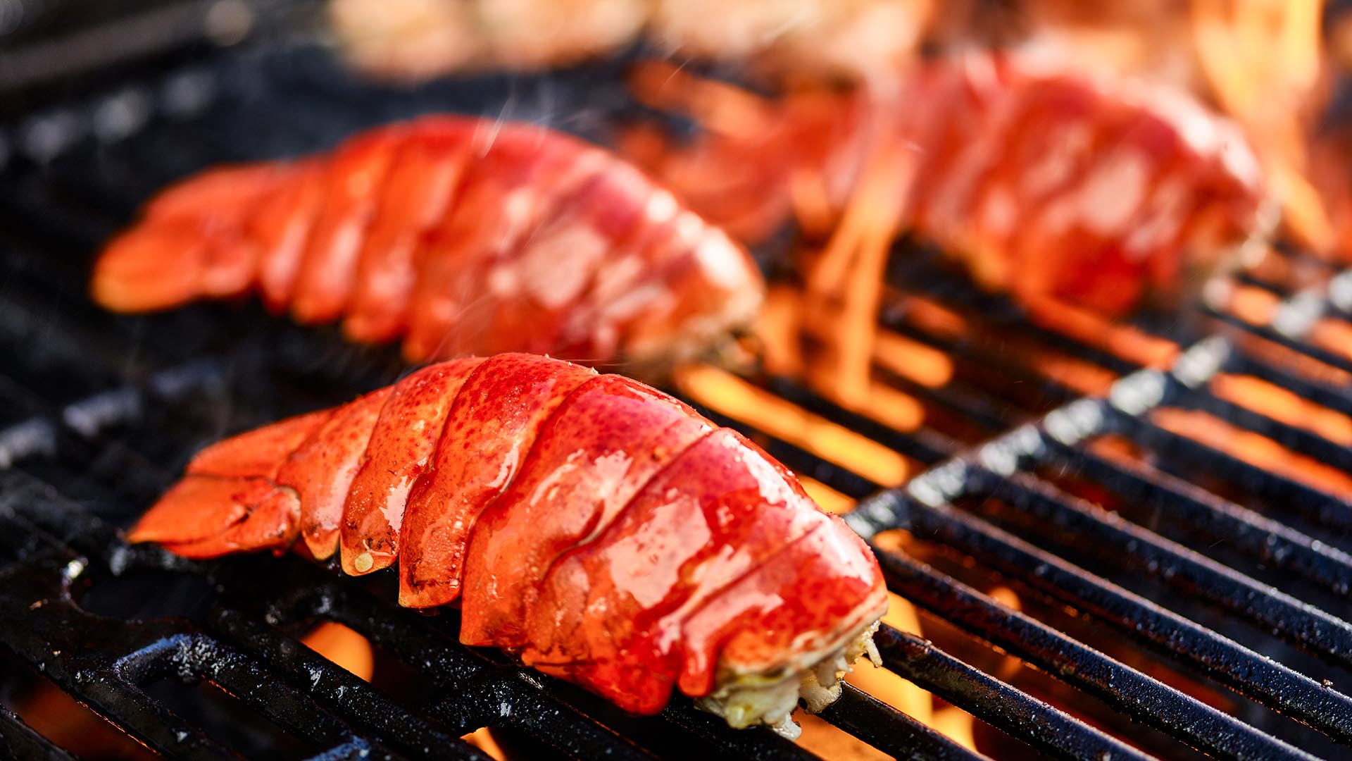 Meeresfrüchte-Grillkurs Solingen – Jetzt erleben!