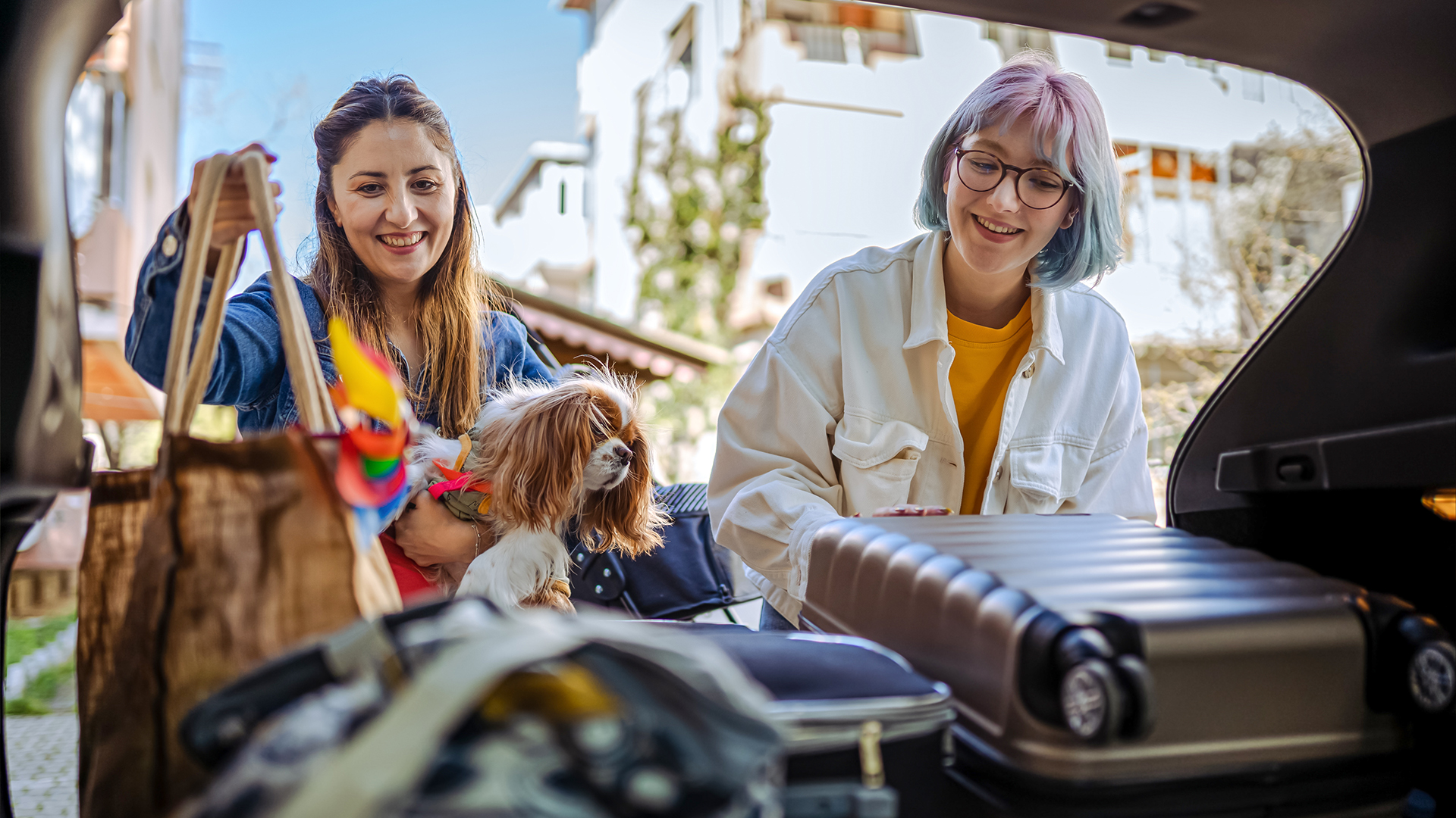 Urlaub mit Hund am Rennsteig für 2 (2 Nächte) in Großbreitenbach