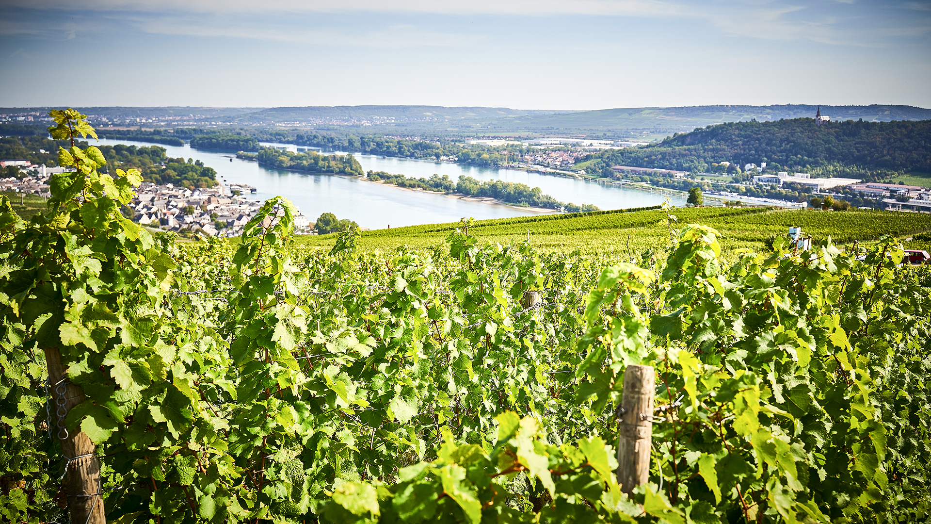 Schlenderweinprobe Eltville