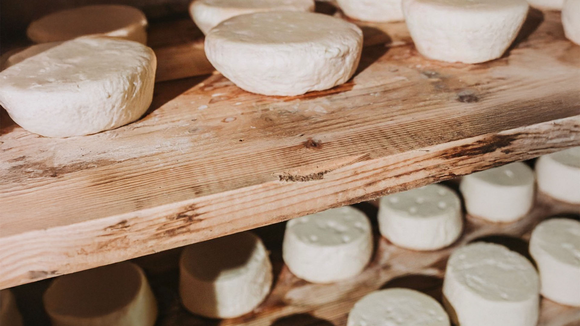 Käse selber machen Oberharmersbach