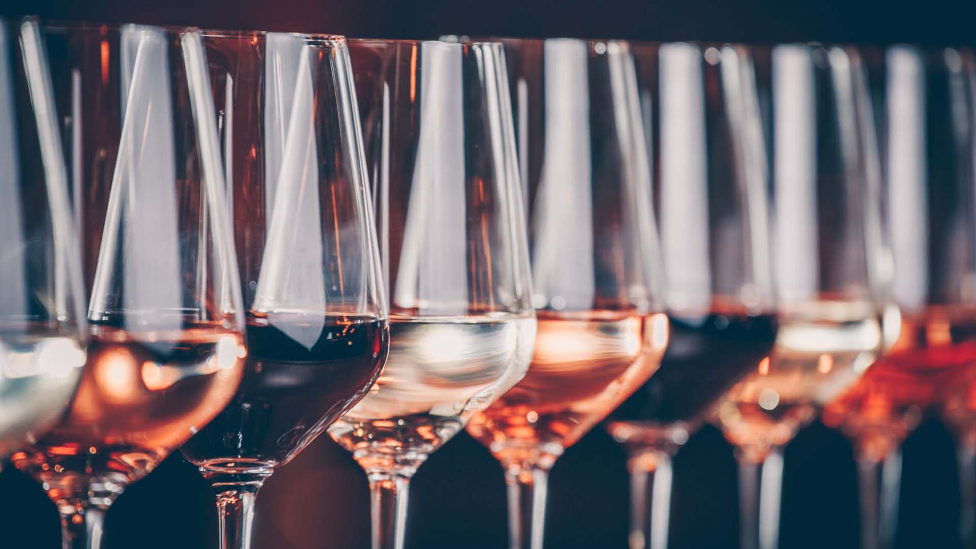 Weinseminar Rotkäppchen Erlebniswelt Freyburg – Jetzt erleben! in Freyburg (Unstrut)