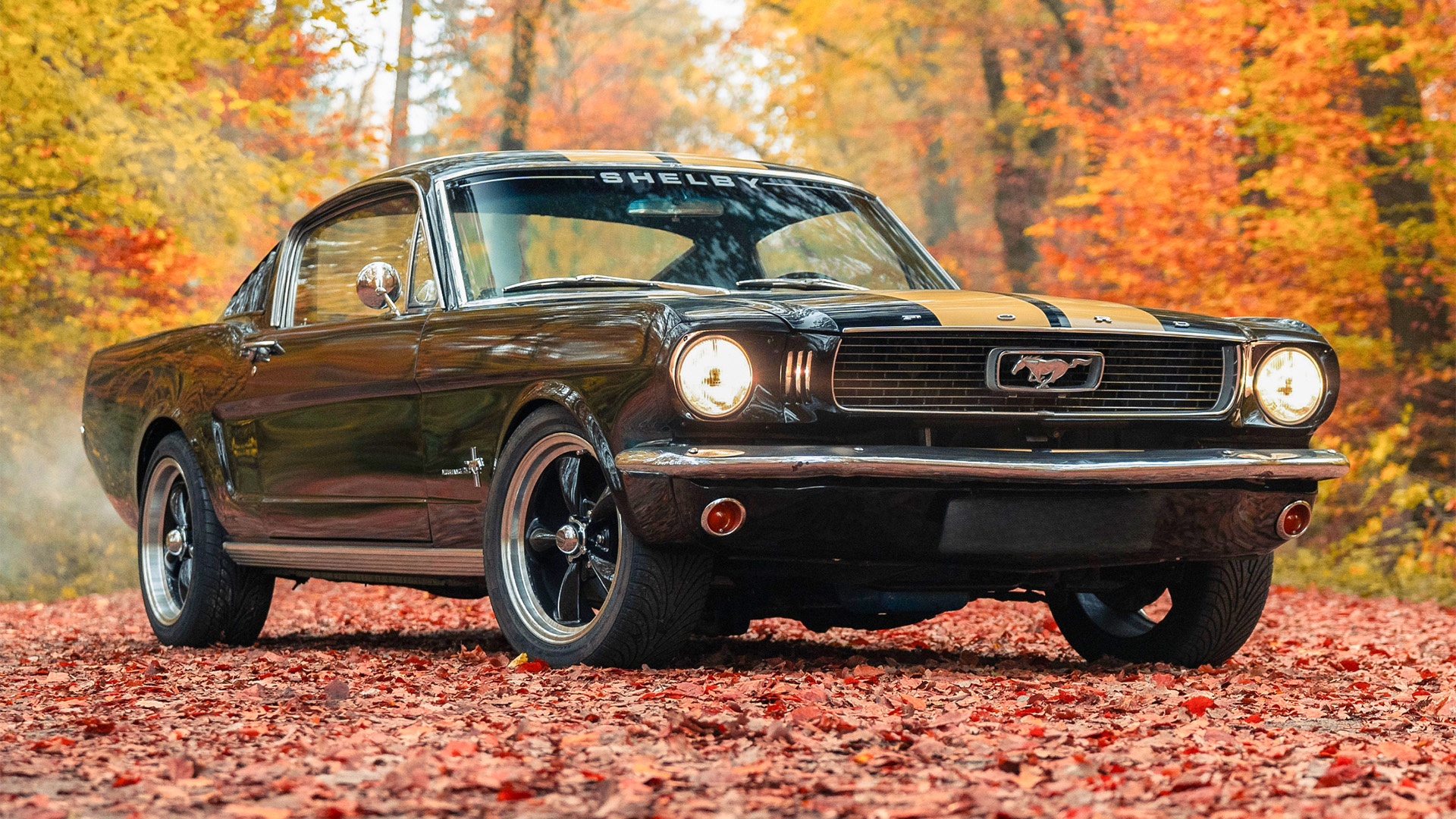 1966er Mustang Fastback fahren Hamburg (8 Std.)