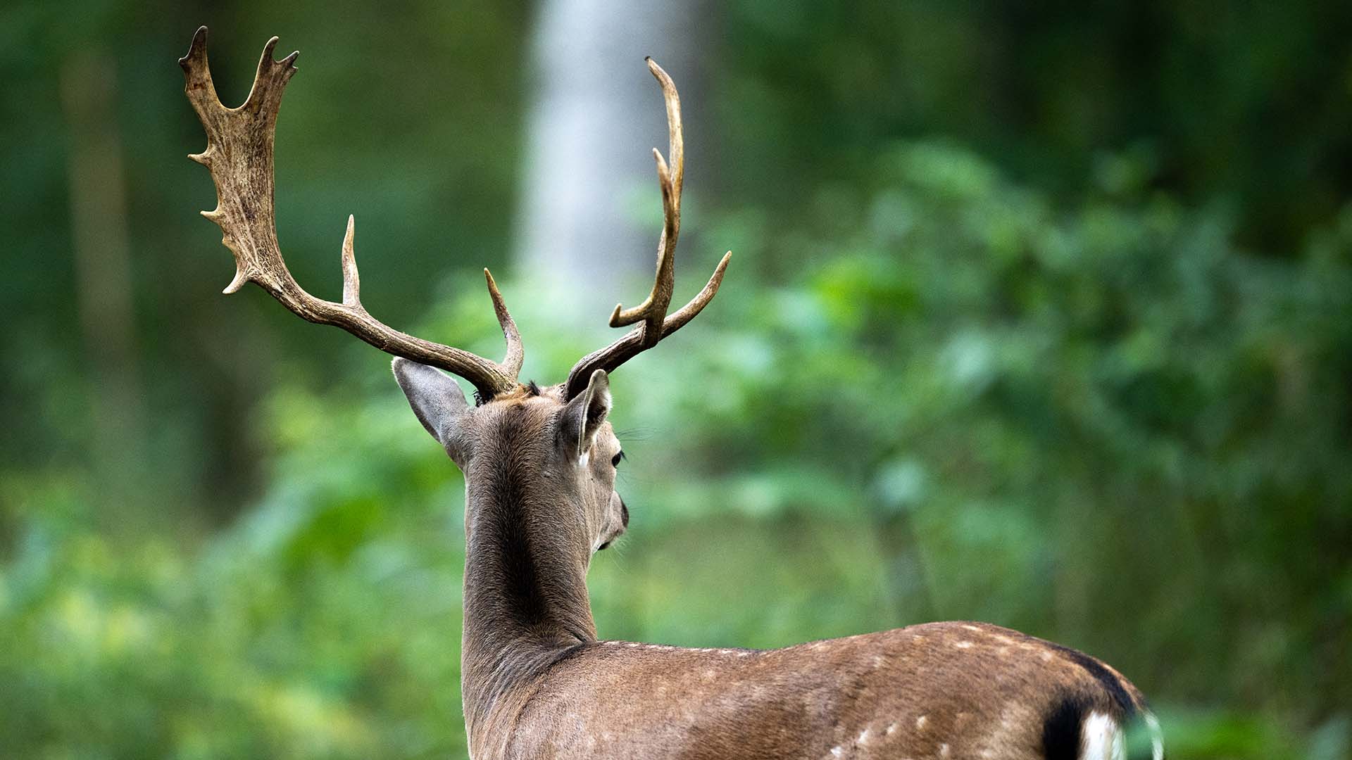 Fotografie Kurs Landsberg am Lech