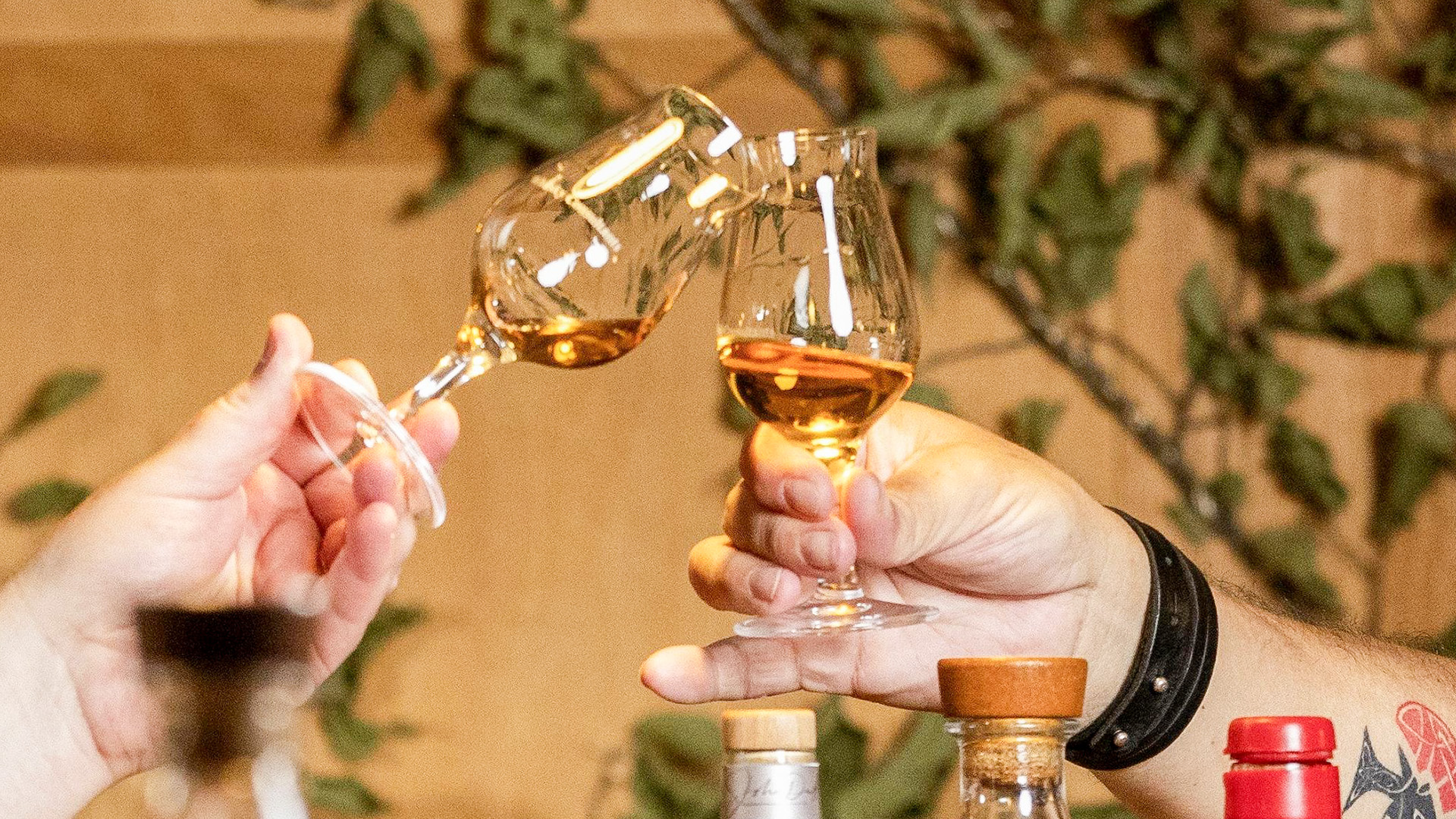 Spirits und Food Tasting Wien