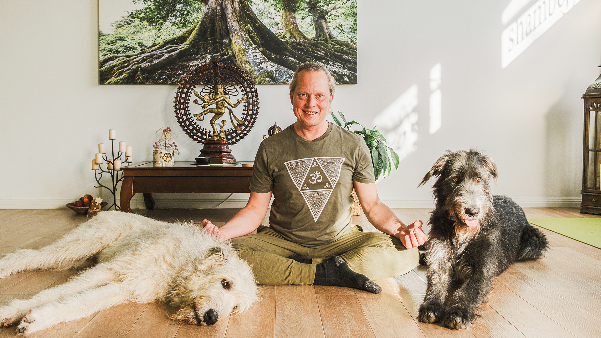 Yoga mit irischen Wolfshunden für 2 Blankenfelde-Mahlow