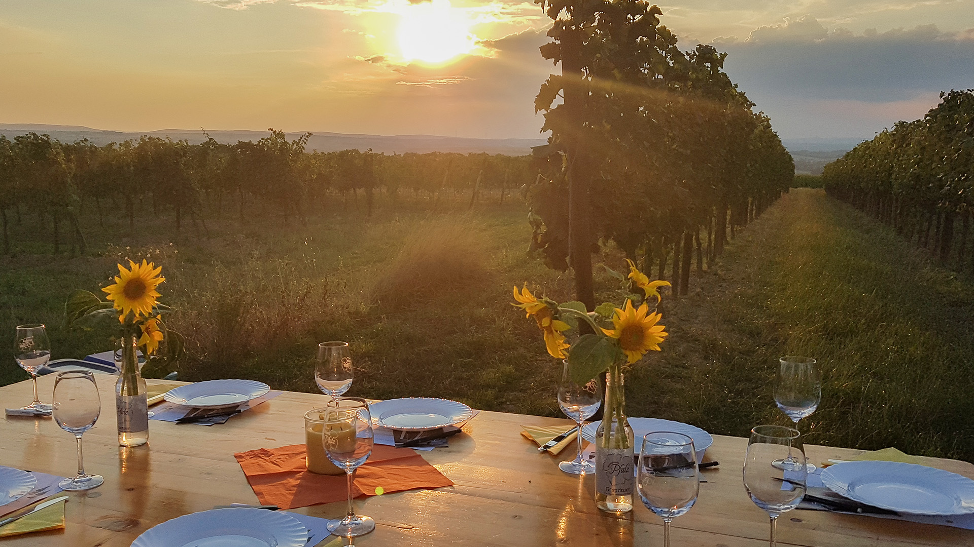 Sunset Wine Tasting Hohenruppersdorf