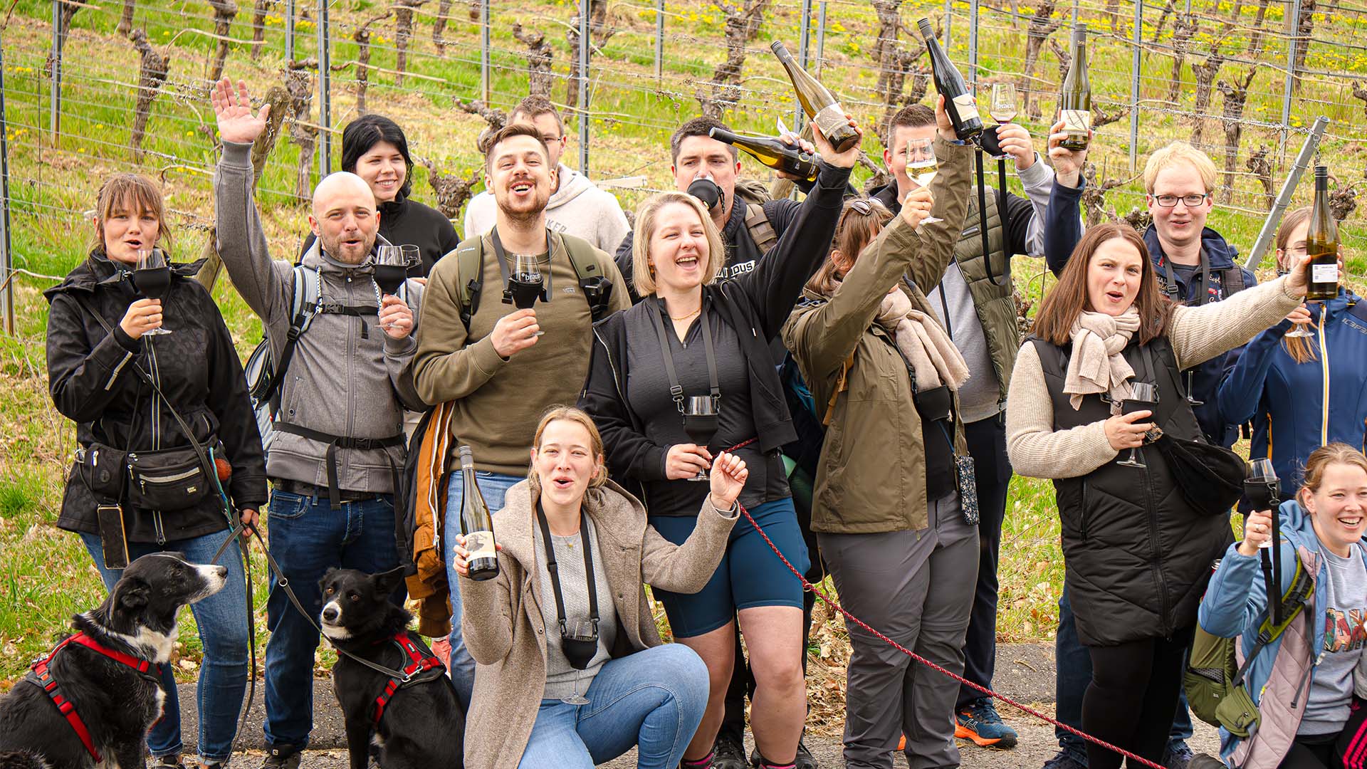 Wein-Jagd für 6 Personen