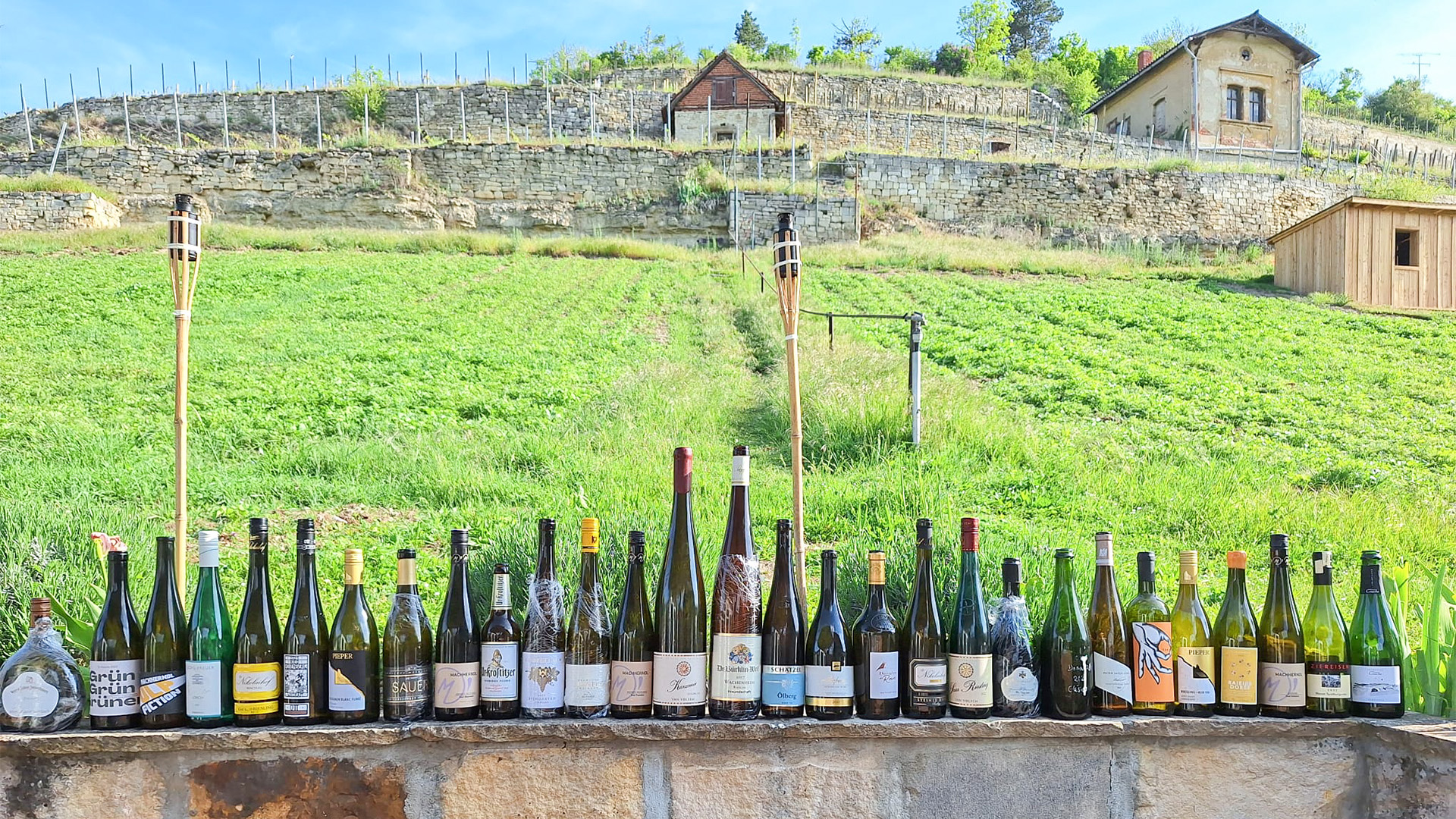 Weinwanderung Freyburg – Jetzt erleben! Weinwanderung Freyburg – Jetzt erleben!