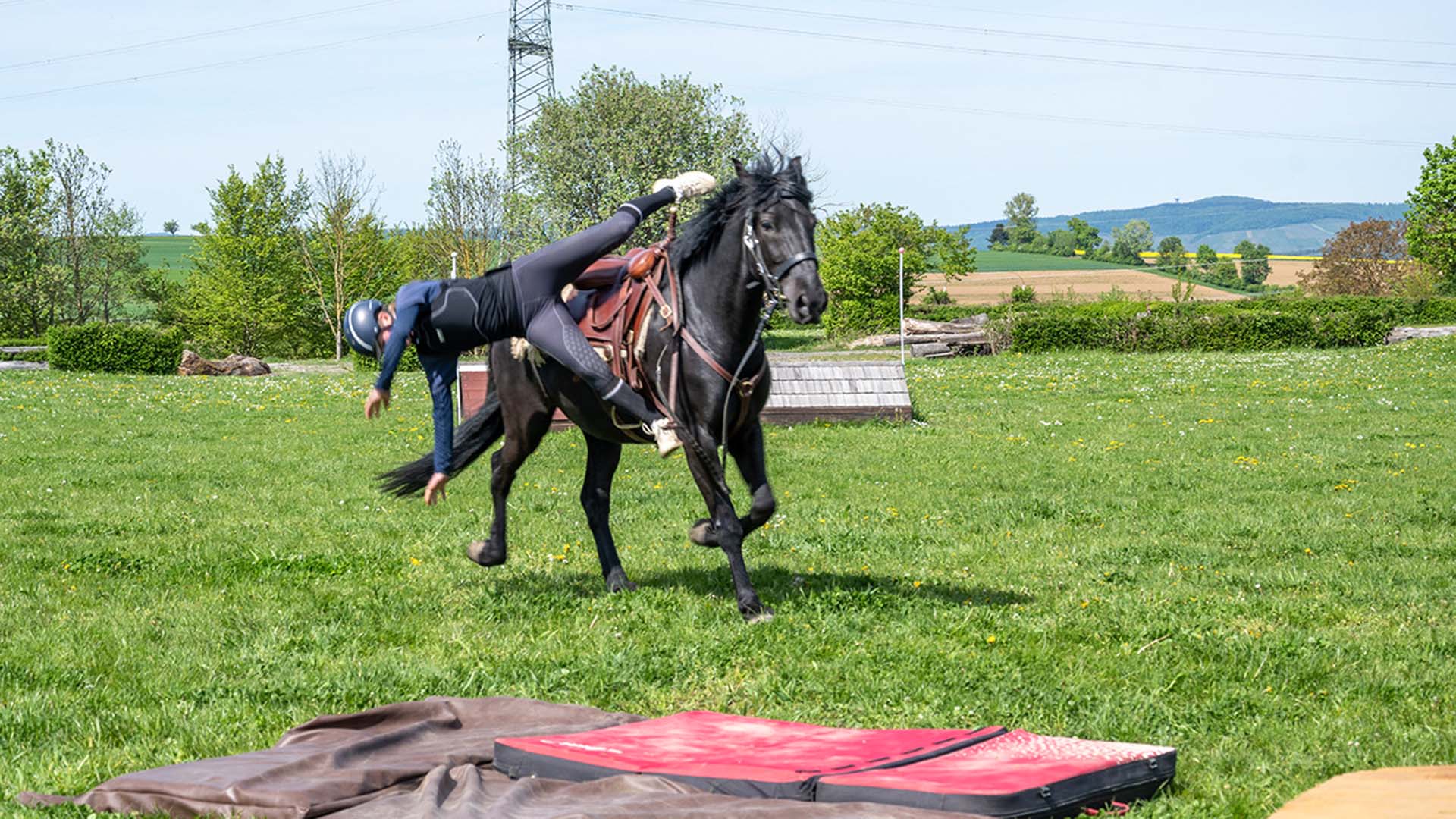 Reitkurse Reiturlaub Pferdemessen und Reitturniere