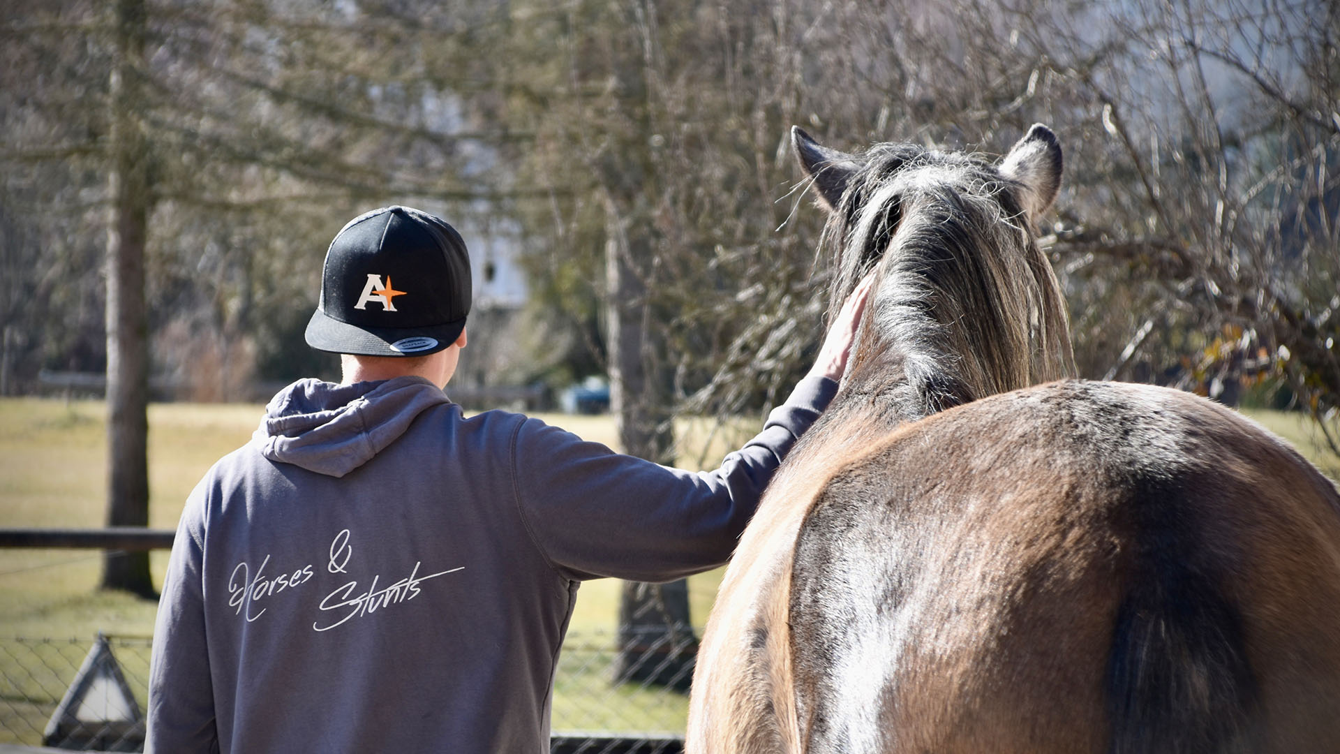 Reitkurse Reiturlaub Pferdemessen und Reitturniere