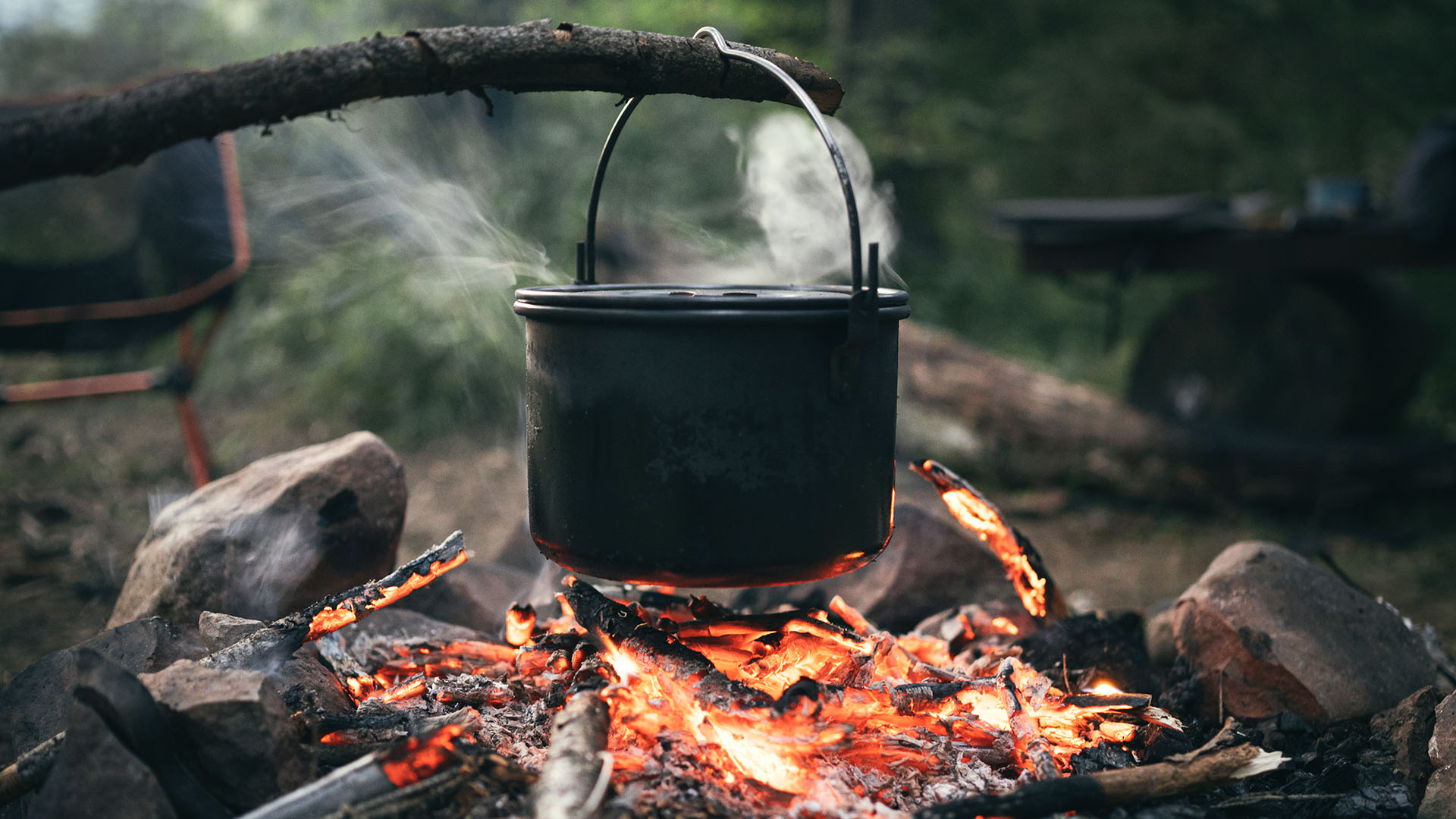 Premium Wildnis Kochkurs Zwingen
