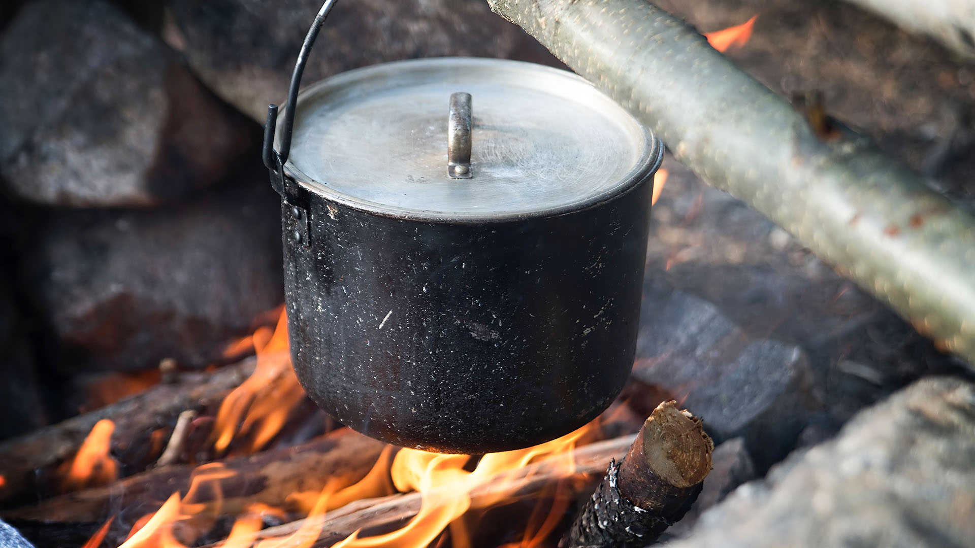 Premium Wildnis Kochkurs Zwingen – Angebotsmotiv der Buchungsquelle