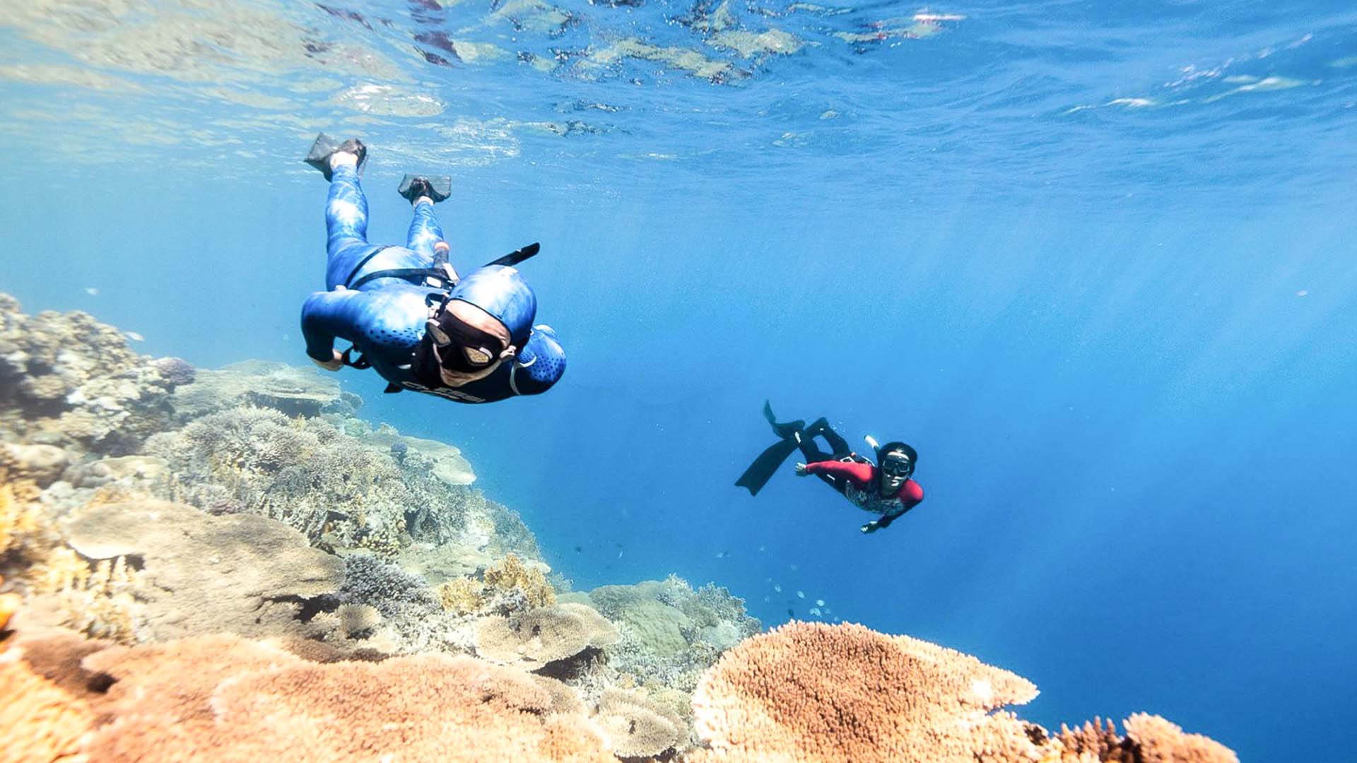Freediving Tageskurs Ettenheim - Ein Atemzug in die Tiefe