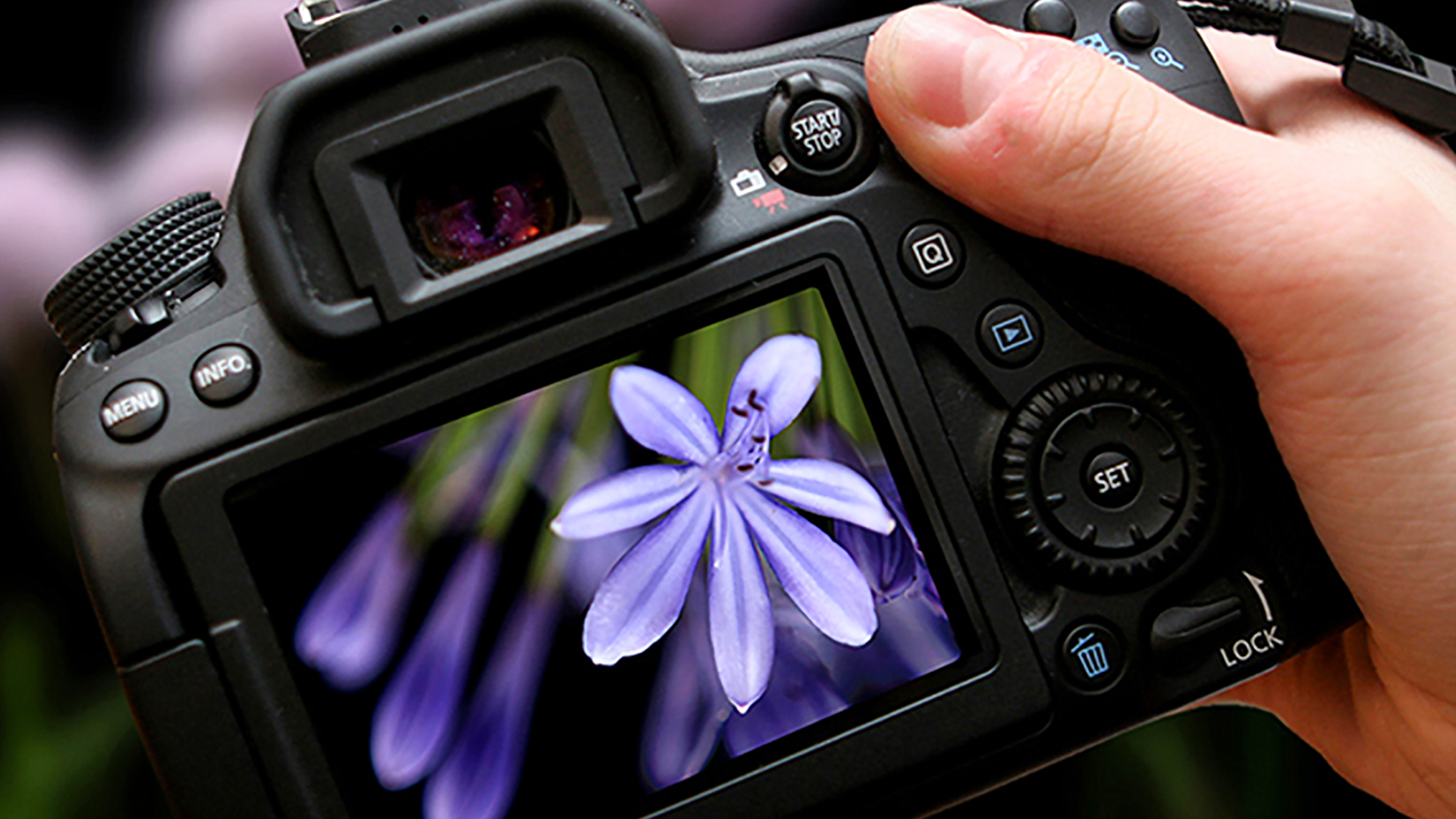 Fotokurs Frankfurt (Einzelcoaching)
