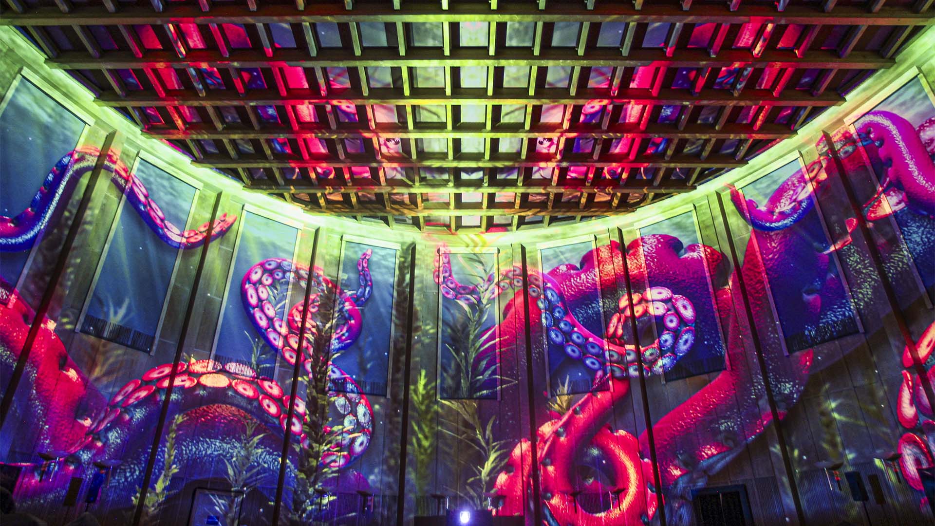 Immersive Show Heidelberg (Pixel Zoo)