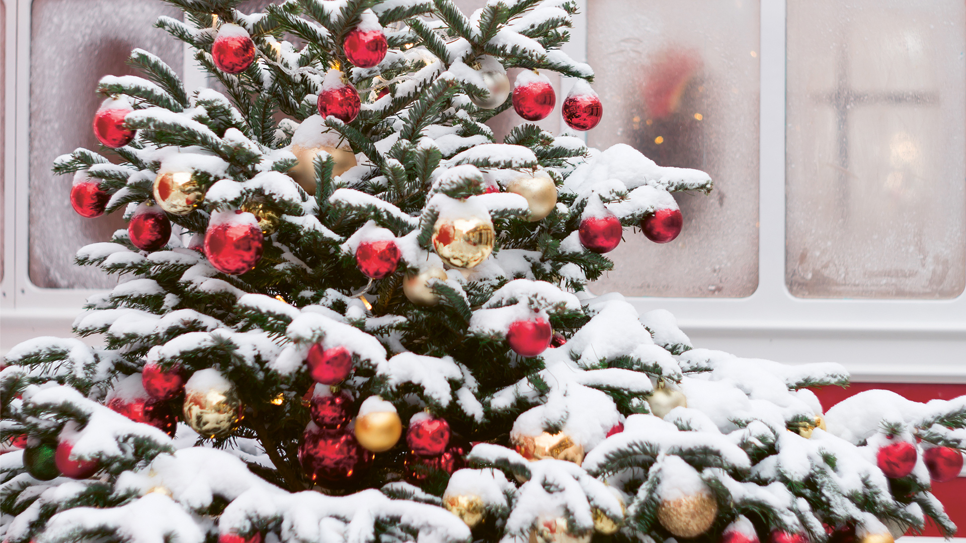 Beauty, Wellness und Styling