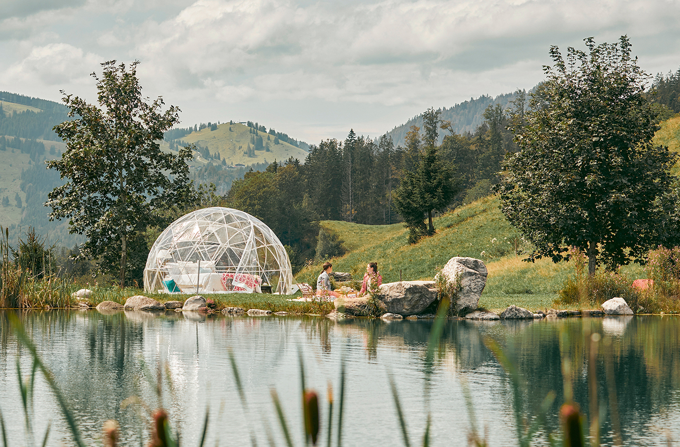 Einzigartige Nächte PDF