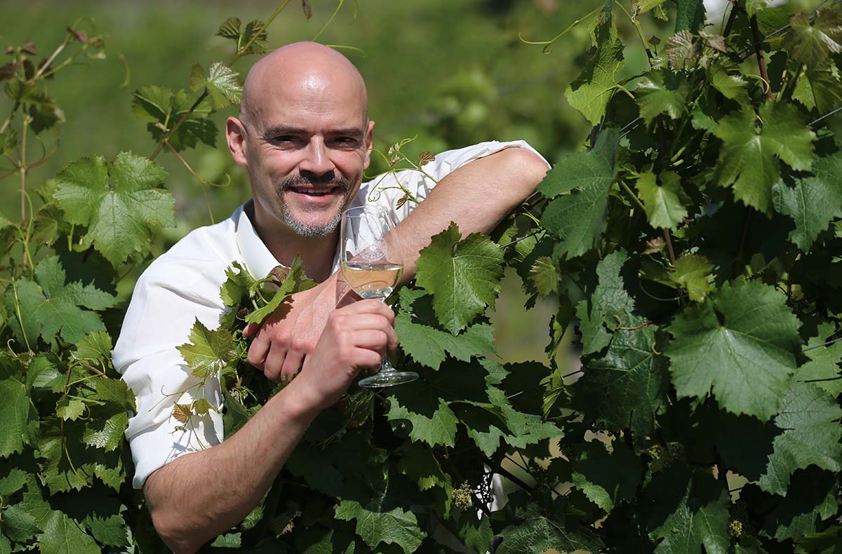 Weinbergwanderung Lorch...