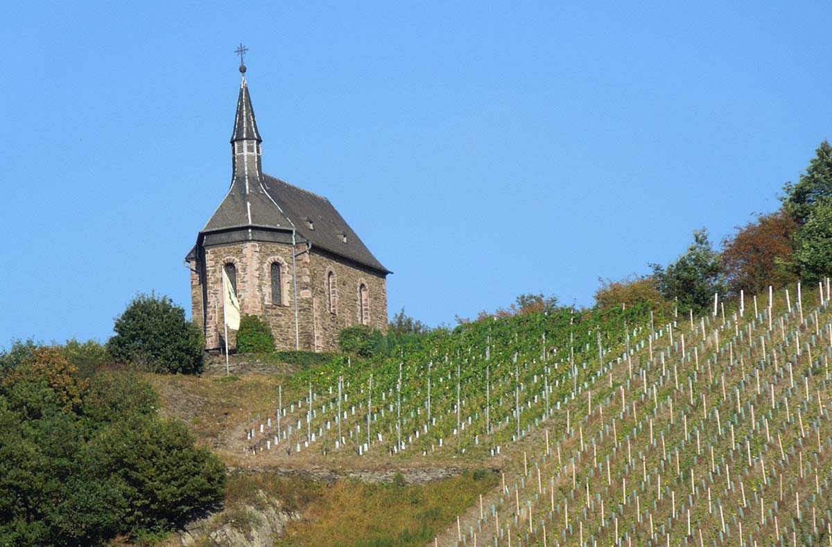 Weinbergwanderung Lorch...