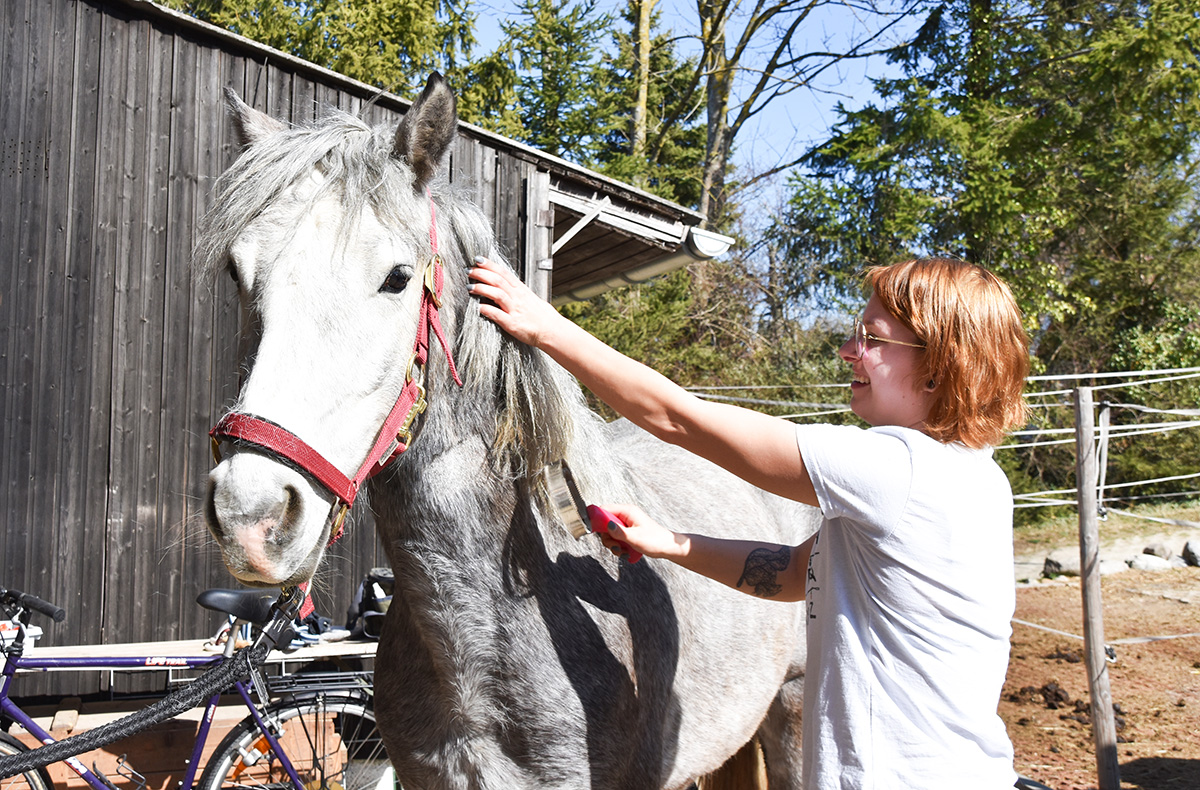Pony Wanderung Bad Urach - Mit dem Pony ... Pony Wanderung Bad Urach - Mit dem Pony ...
