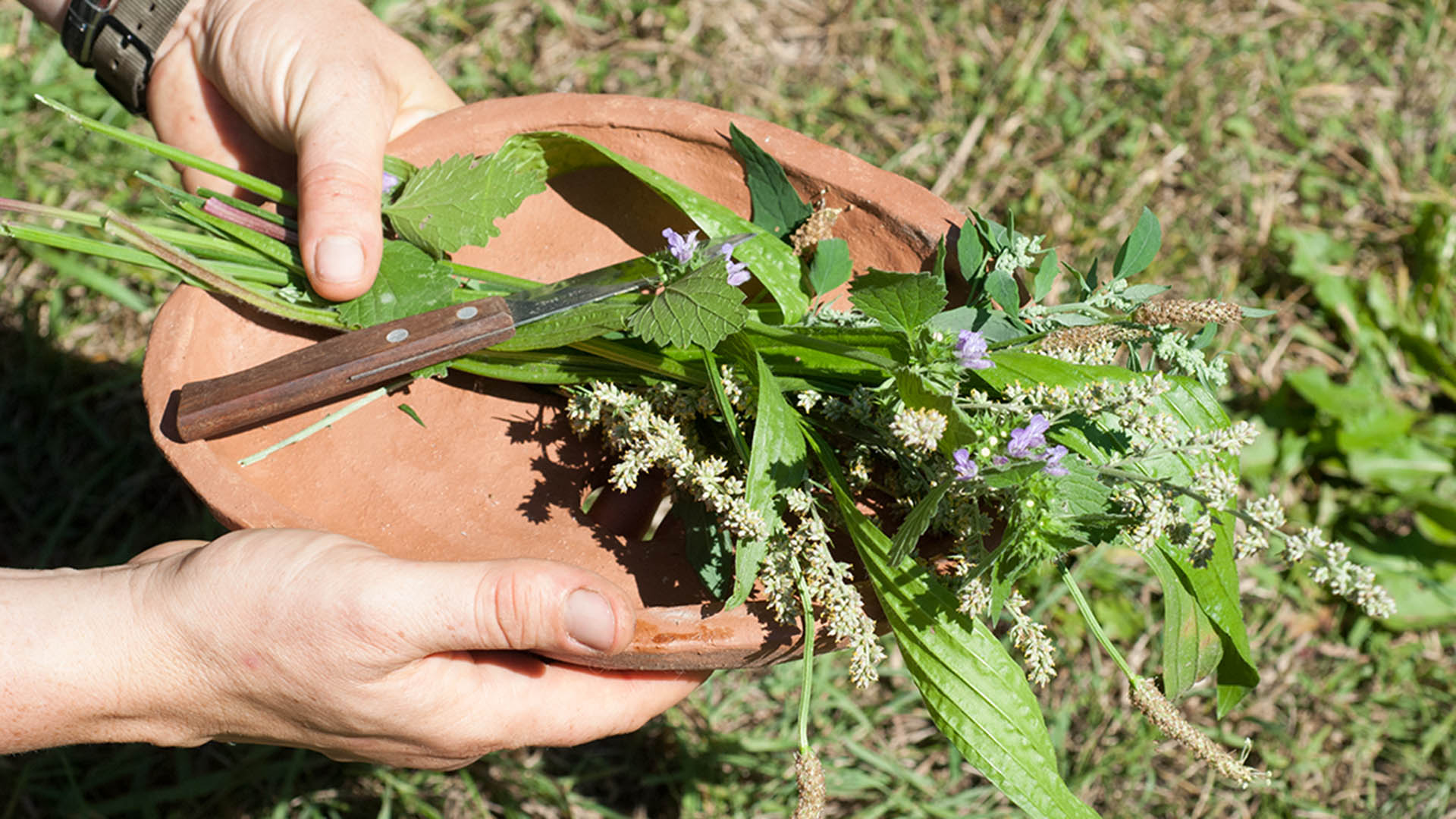 Kräuterkurs Walchow – Wildkräuter entdecken, Naturkosmetik selbst gemacht! Kräuterkurs Walchow – Wildkräuter entdecken, Naturkosmetik selbst gemacht!