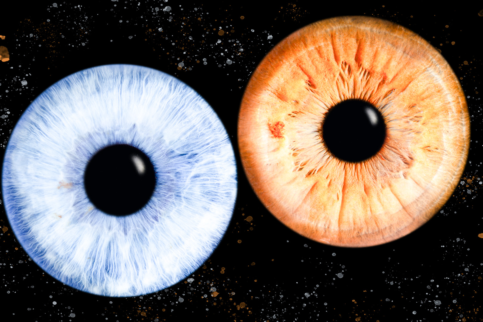 Iris Fotoshooting Compostion Haiger