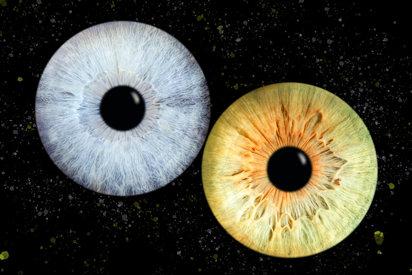 Iris Fotoshooting Compostion Haiger - Iris Fotoshooting Compostion Haiger -