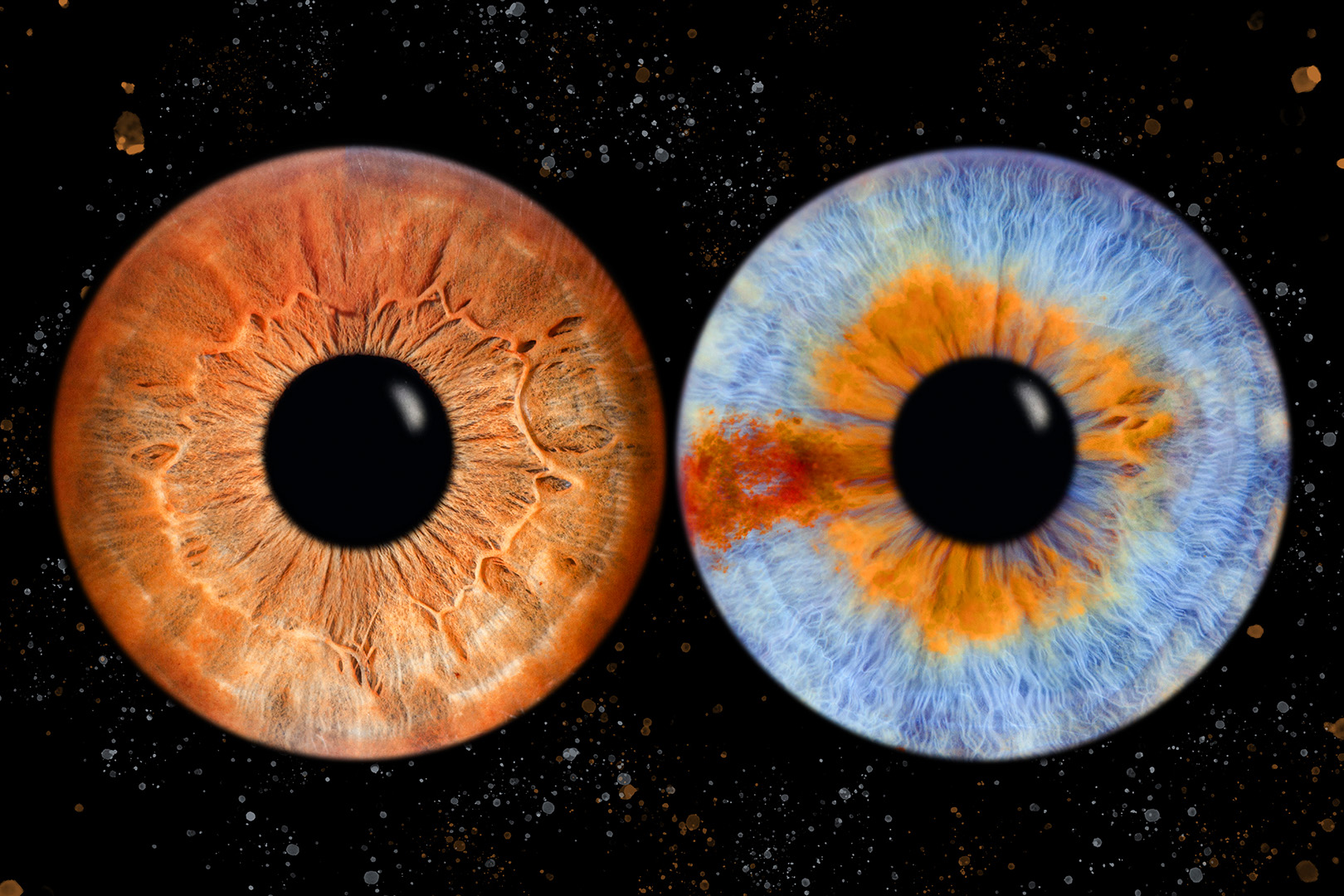 Iris Fotoshooting Compostion Haiger