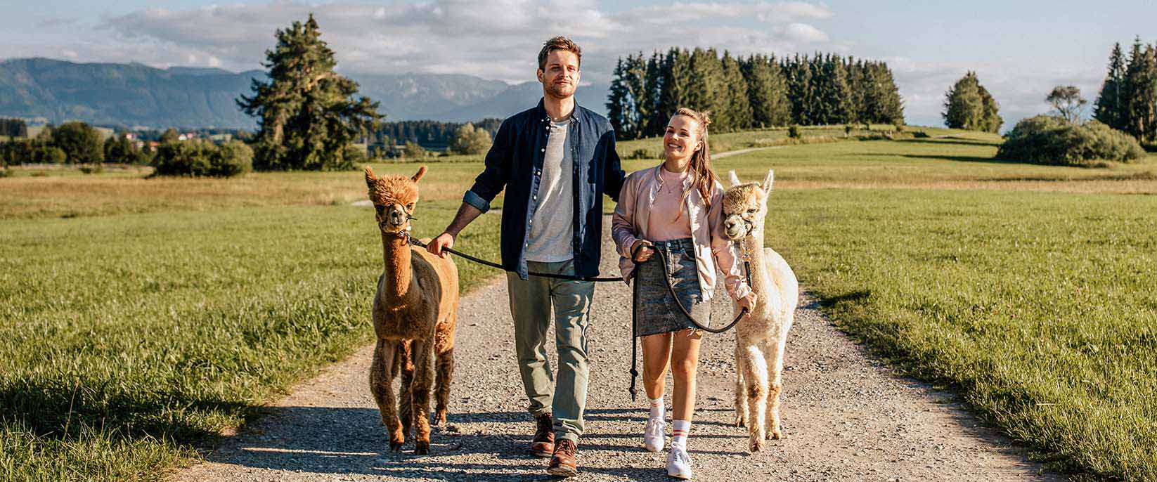 Alpaka Wanderung