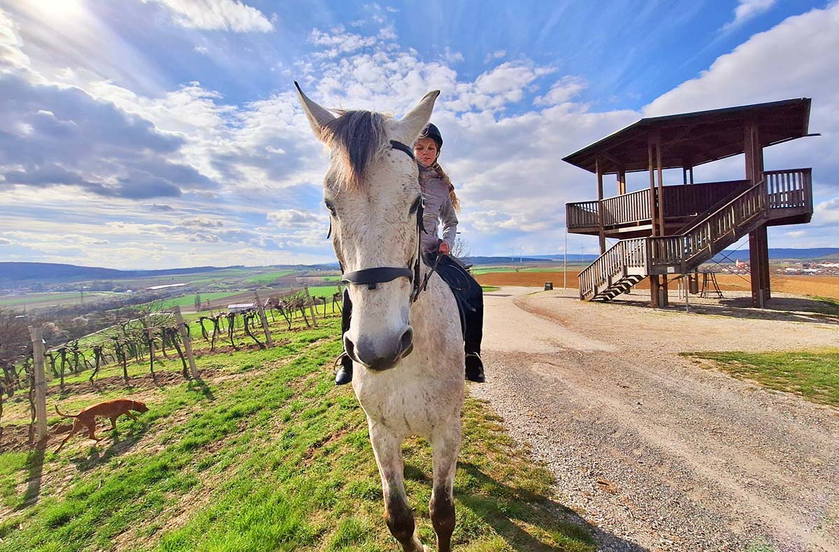 Wanderreiten Kapelln Wanderreiten Kapelln