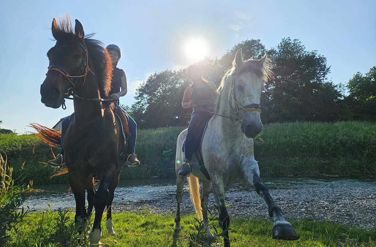 Wanderreiten Kapelln - Wanderreiten in Kapelln: Natur spüren, Freiheit erleben Wanderreiten Kapelln - Wanderreiten in Kapelln: Natur spüren, Freiheit erleben