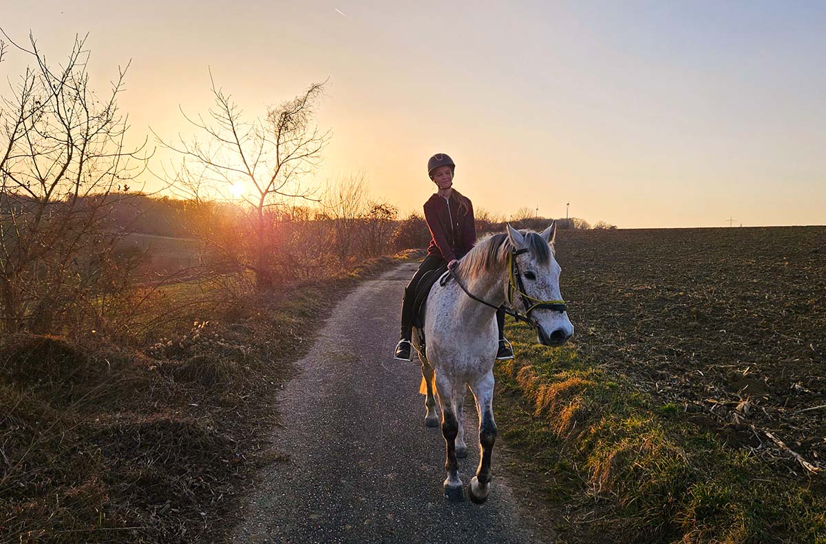 Wanderreiten Kapelln - Wanderreiten in Kapelln: Natur spüren, Freiheit erleben Wanderreiten Kapelln - Wanderreiten in Kapelln: Natur spüren, Freiheit erleben