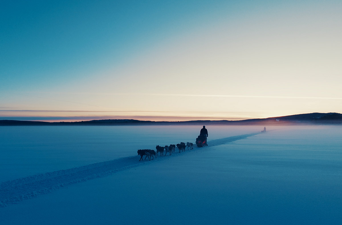 Abenteuerwoche Lappland mit Hundeschlitten für 2 (7 Nächte)