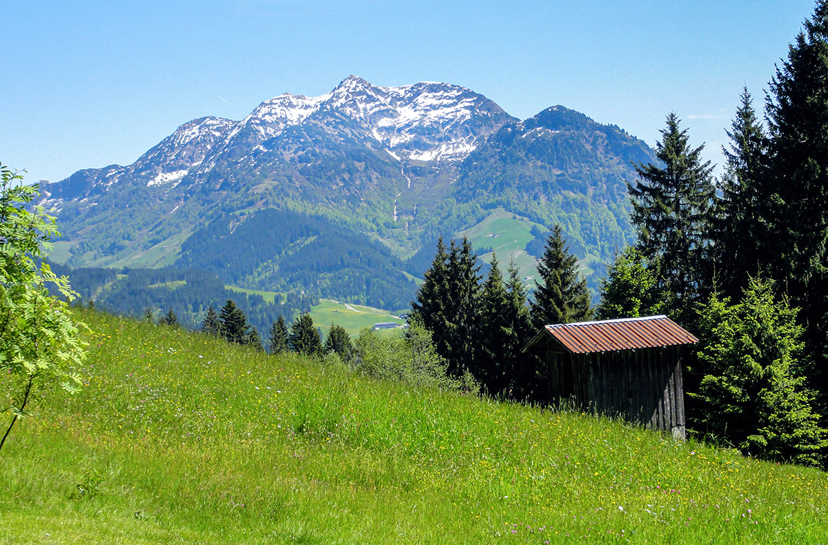 Mountainbike Tour in Hochfilzen für 2 (1 Nacht)