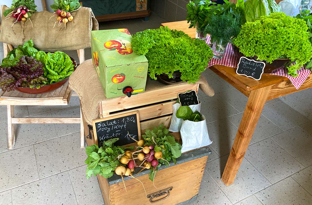 Alpaka-Hofführung Furth im Wald