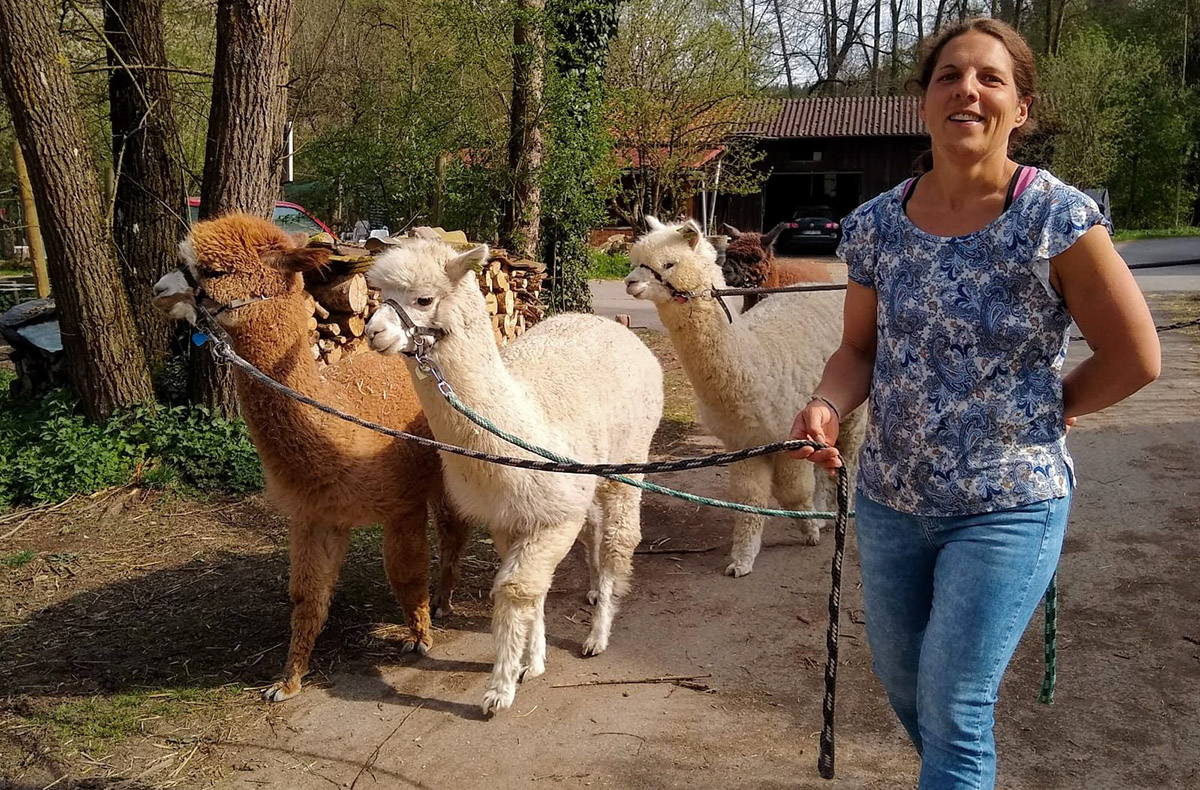 Alpaka Spaziergang für 2 Waldenbuch - An der Landluft zur Ruhe kommen Alpaka Spaziergang für 2 Waldenbuch - An der Landluft zur Ruhe kommen