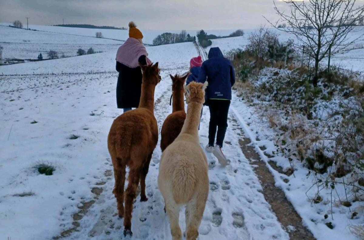 Alpaka-Trekking-Tour für 2 Plütscheid (6 Std.) - Mit Alpakas durchatmen: Natur erleben, Ruhe finden Alpaka-Trekking-Tour für 2 Plütscheid (6 Std.) - Mit Alpakas durchatmen: Natur erleben, Ruhe finden