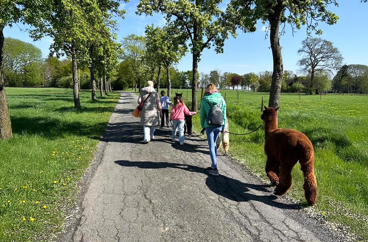 Single-Wanderung mit Alpakas - Alpaka-Ab...