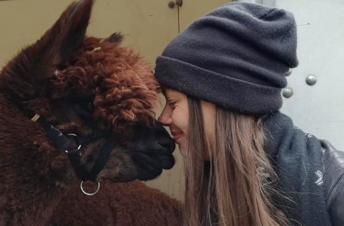 Alpaka Wanderung für 2 Raum Leipzig