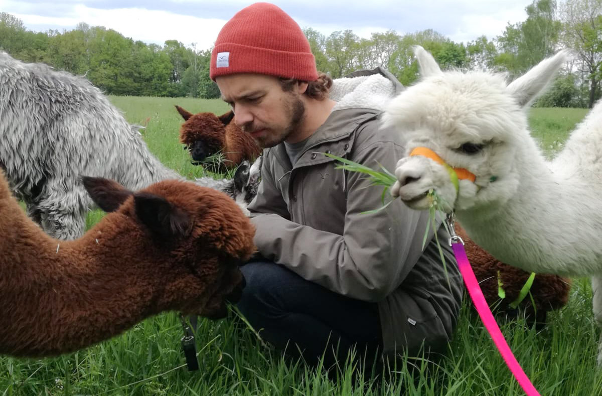 Alpaka Wanderung für 2 Raum Leipzig