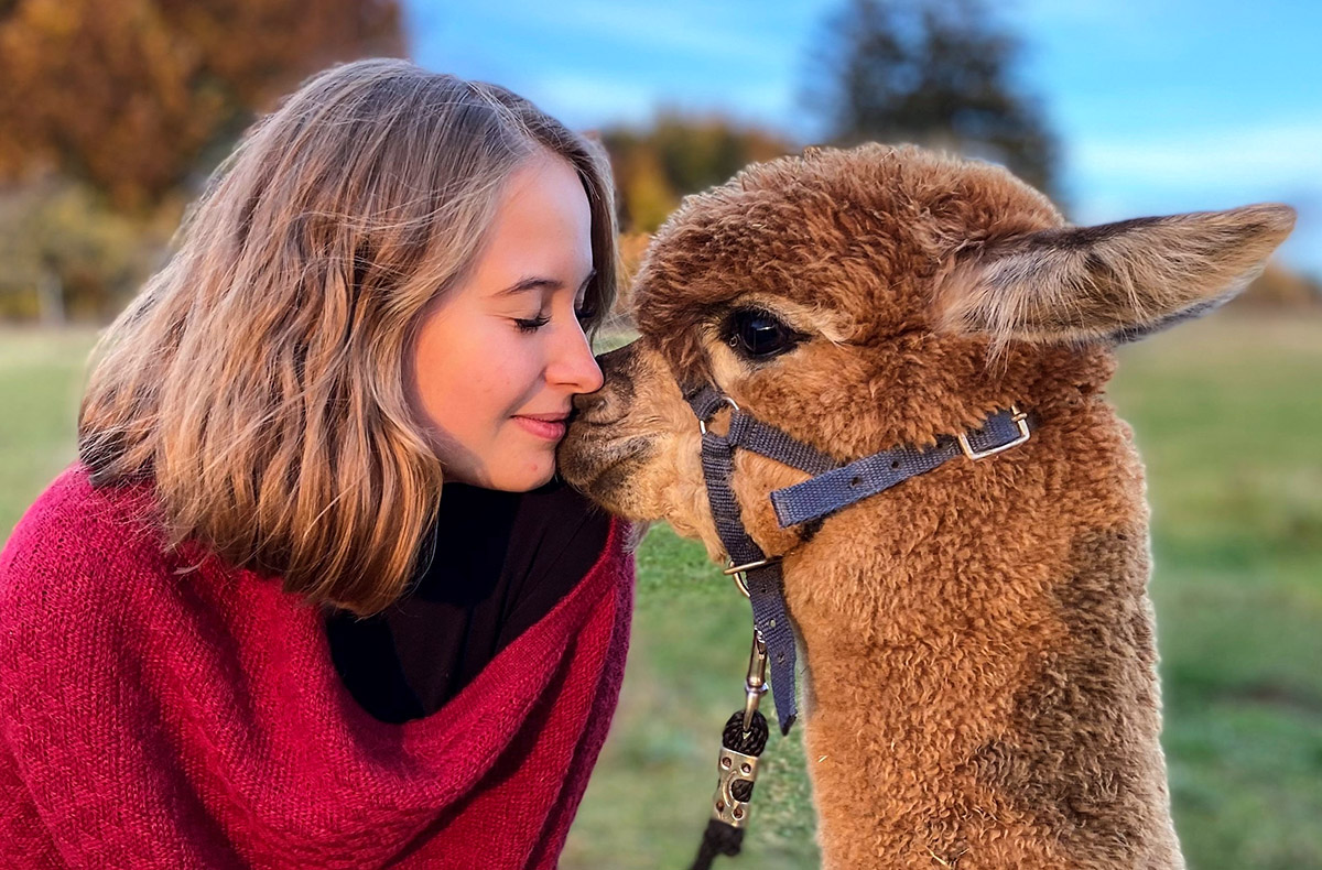 Alpaka Wanderung Mellinghausen 