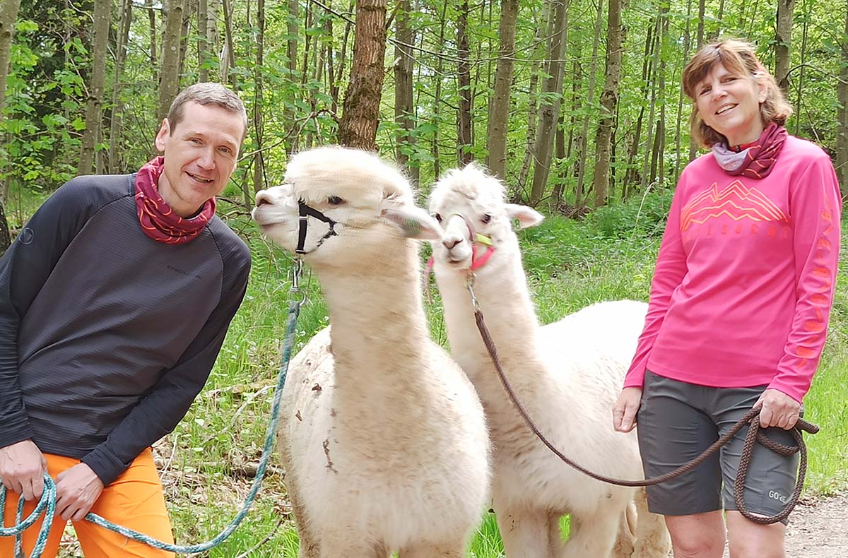 Alpaka Wanderung mit Picknick für 2 Waldenbuch - Jetzt erleben! Alpaka Wanderung mit Picknick für 2 Waldenbuch - Jetzt erleben!
